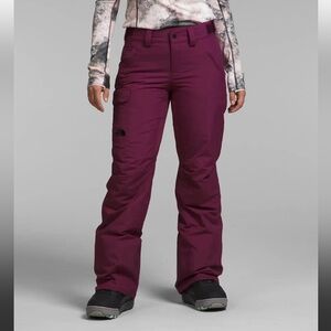 Size LONG Freedom Insulated Ski Pants in Boysenberry